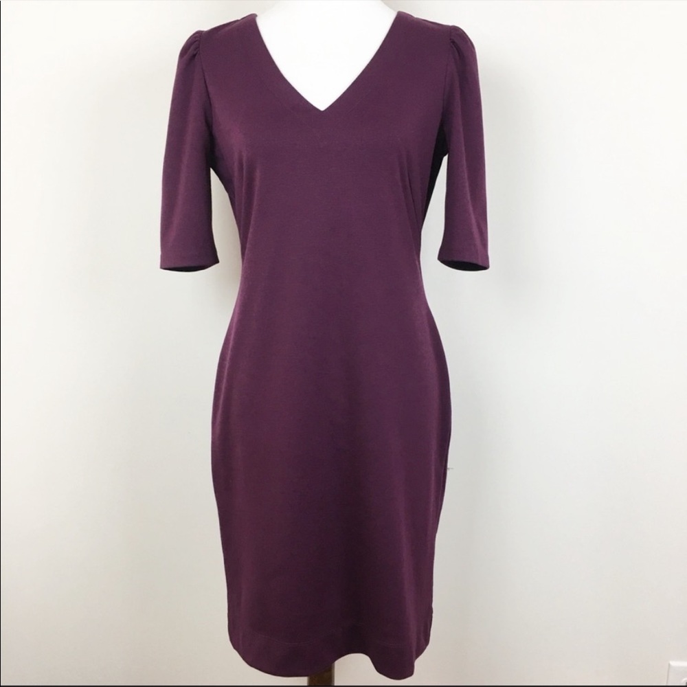 Banana Republic Purple Puff Sleeve V-Neck Dress Size 4